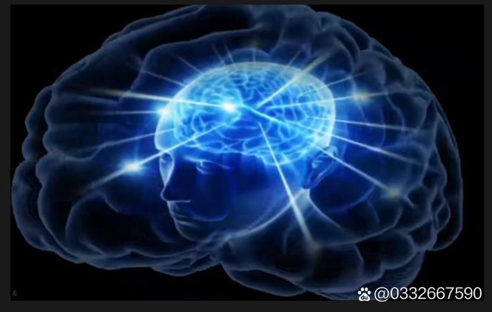 51吃瓜官网 - 关于"video-3"的爆料详情 51吃瓜官网 - 关于"video-3"的爆料详情